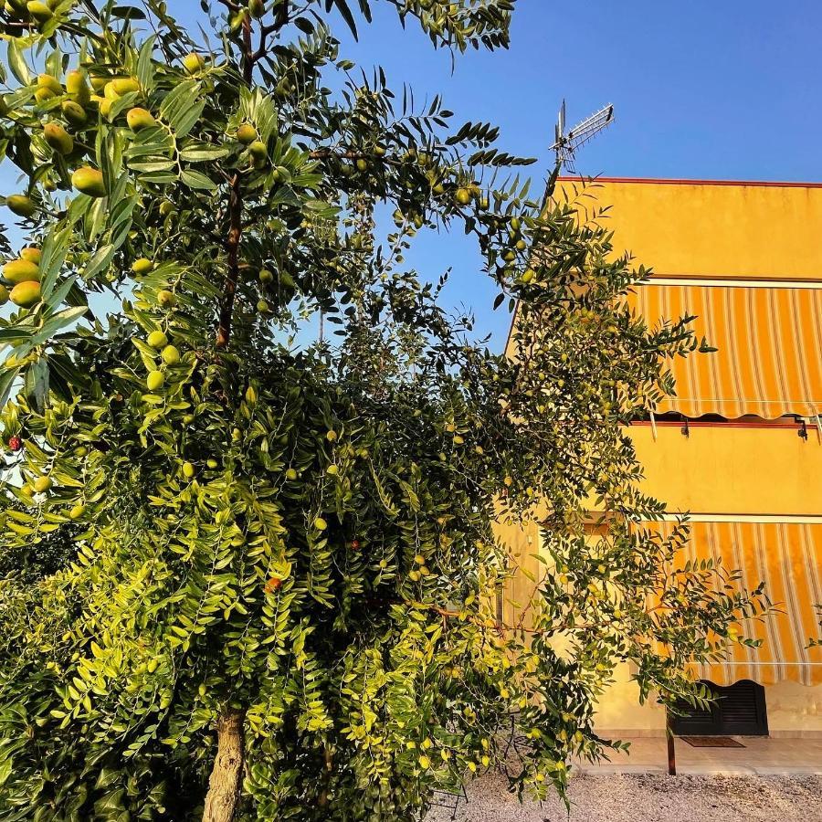 Casa Vacanze Paradise Santa Maria La Carità Eksteriør bilde