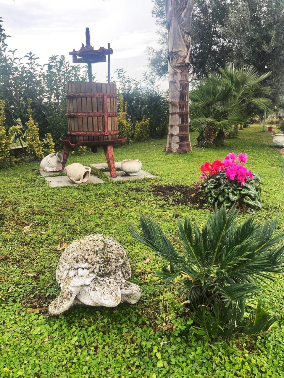 Casa Vacanze Paradise Santa Maria La Carità Eksteriør bilde
