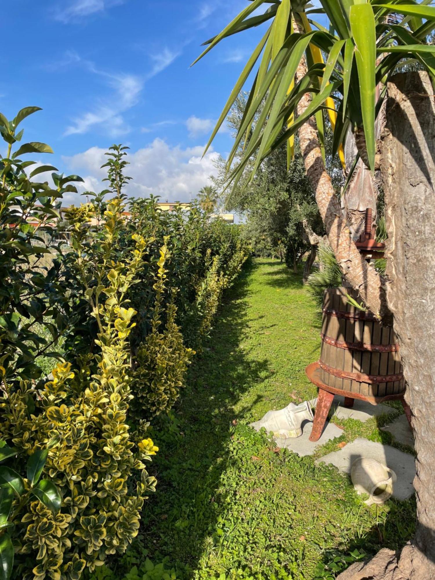 Casa Vacanze Paradise Santa Maria La Carità Eksteriør bilde