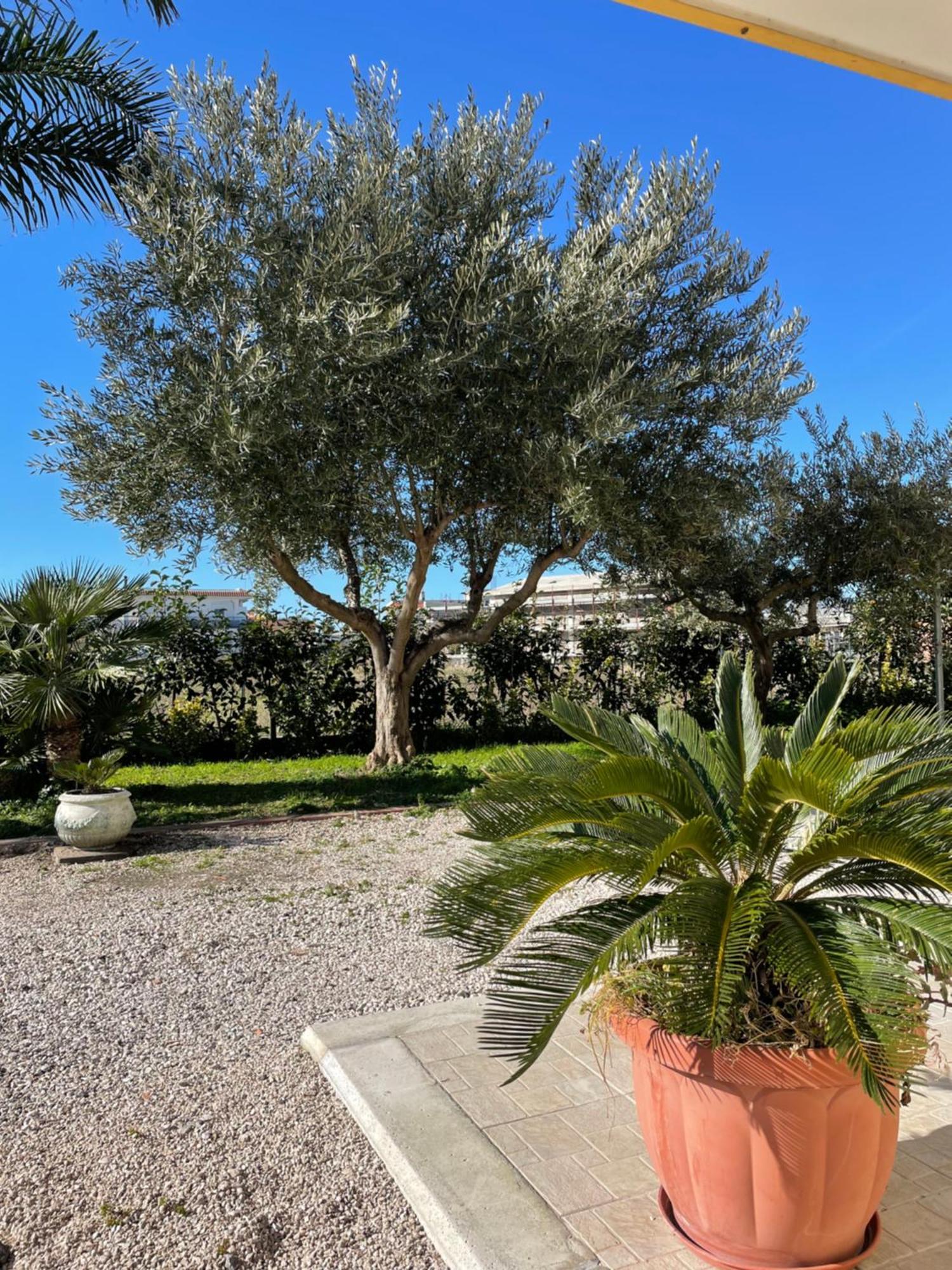Casa Vacanze Paradise Santa Maria La Carità Eksteriør bilde