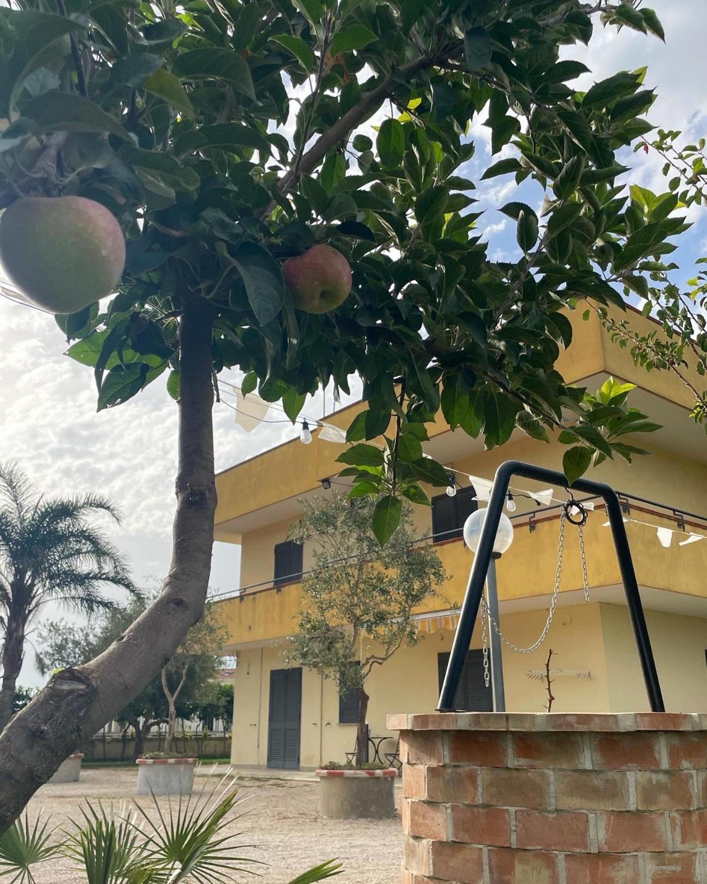 Casa Vacanze Paradise Santa Maria La Carità Eksteriør bilde